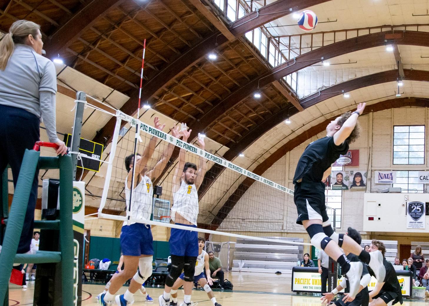 MVB Take Two from Westcliff